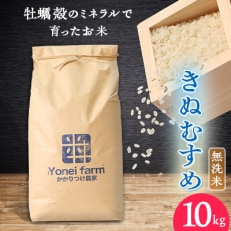 令和5年産 きぬむすめ 10kg【無洗米】牡蠣殻のミネラルで育ったお米