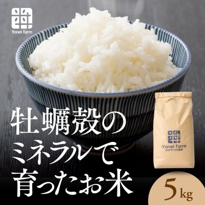 おいしいお米(5kg)無洗米　リピーター続出