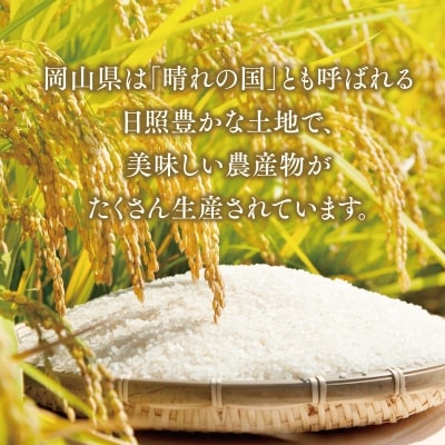 おいしいお米(5kg)無洗米　リピーター続出