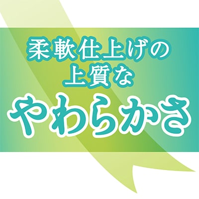 エリエール トイレットペーパー 長持ち 45m ダブル 12R×6パック(72個)