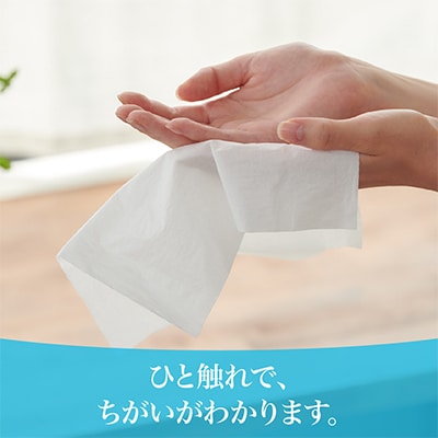 【さとふる限定】エリエール +Waterポケットティシュー 14組4個×64P(256個)