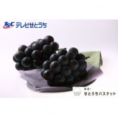 岡山県産オーロラブラック(家庭用) | ふるさと納税のお礼品