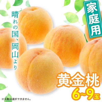 黄金桃(ご家庭用)6～9玉入り　【2025年8月末頃より発送予定】