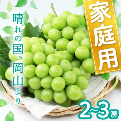 岡山県産シャインマスカット(ご家庭用)【2025年9月中旬以降発送予定】