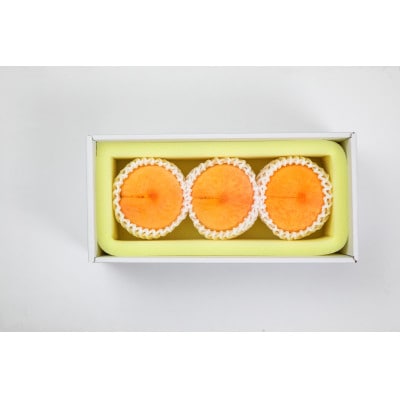 【天満屋選定品】岡山県産黄金桃　約300g×各3玉(2026年発送)