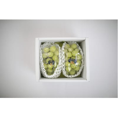 【天満屋選定品】岡山県産 ご自宅用 シャインマスカット 約1kg(2026年発送)