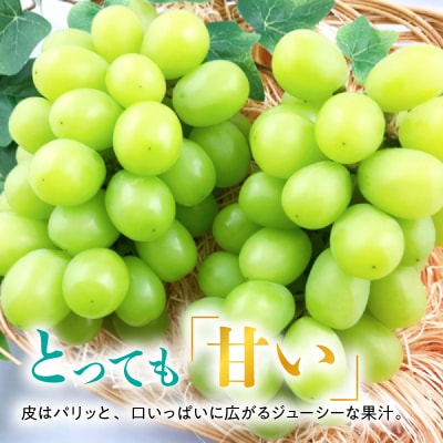 糖度!シャインマスカット!約2kg【2025年8月中旬より順次発送】ギフトにも岡山県産ぶどう!