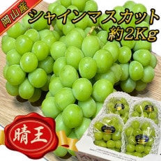 岡山名産【晴王】シャインマスカット2kg!9月上旬以降順次発送