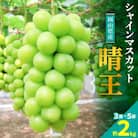 【2026年発送】岡山名産【晴王】シャインマスカット2kg!8月下旬以降順次発送