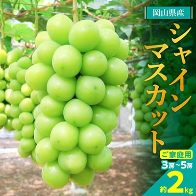【2025年発送】訳あり!シャインマスカット約2kg!8月中旬～順次発送【人気の岡山産ぶどう】