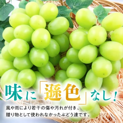 【2025年発送】訳あり!シャインマスカット約2kg!9月上旬～順次発送【人気の岡山産ぶどう】