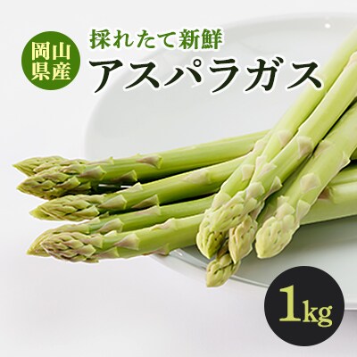 採れたて新鮮　アスパラガス　1kg