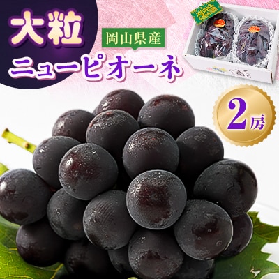 【岡山県産】みずみずしくジューシー大粒 ニューピオーネ 2房セット (1～1.5kg)