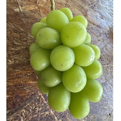 【先行受付】岡山県産 農家直送 朝摘みシャインマスカット2房セット (1.2～1.5kg)