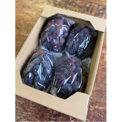 【2026年発送分】岡山県産 訳あり 朝摘みニューピオーネ 2kg(3～5房)