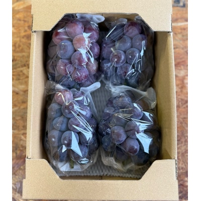 【2026年発送分】岡山県産 訳あり 朝摘みニューピオーネ 2kg(3～5房)