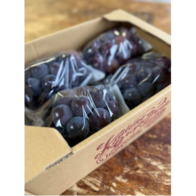 【2026年発送分】岡山県産 訳あり 朝摘みニューピオーネ 2kg(3～5房)