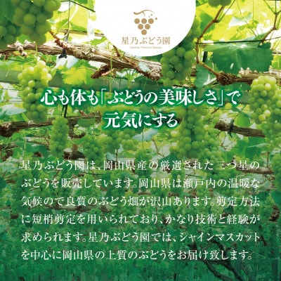【訳あり】星乃シャインマスカット(岡山県産) 3～4房(1.8kg以上)