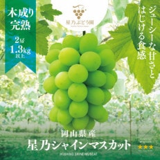 【木成り完熟】星乃シャインマスカット(岡山県産)　2房(1.3kg以上)