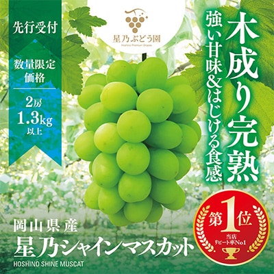 星乃シャインマスカット 数量限定  (岡山県産) 2房(1.3kg以上)