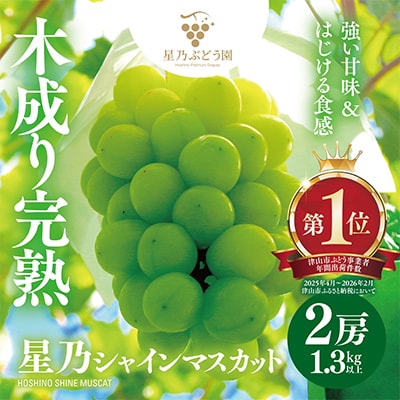 【先行受付】星乃シャインマスカット 数量限定 (岡山県産) 2房(1.3kg以上)