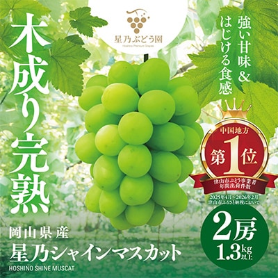 【先行受付】星乃シャインマスカット 数量限定 (岡山県産) 2房(1.3kg以上)