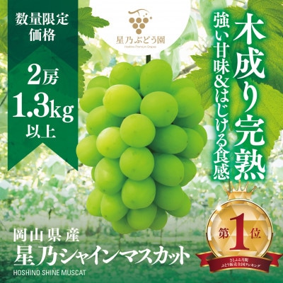 【三つ星ブランド】星乃シャインマスカット 数量限定 (岡山県産) 2房(1.3kg以上)