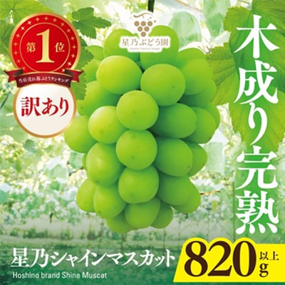 【訳あり】星乃シャインマスカット 820g 1房～2房