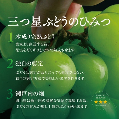 【訳あり】粒の大きさが不揃い 星乃シャインマスカット 820g 1房～2房