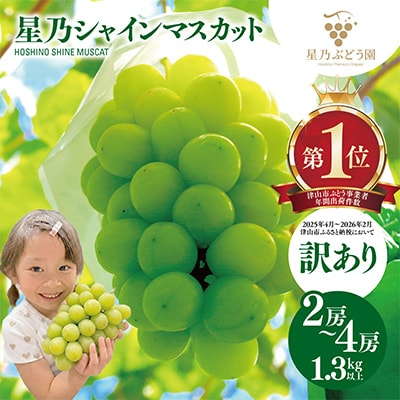 先行受付【訳あり】星乃シャインマスカット 1.3kg 2房～4房