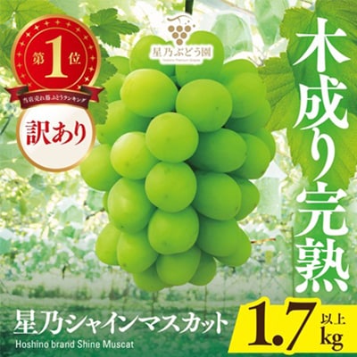 【訳あり】星乃シャインマスカット 1.7kg 3房～5房