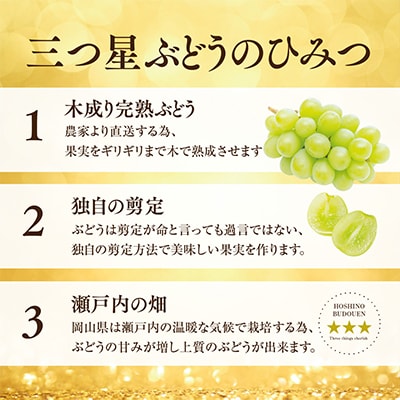 先行受付【訳あり】星乃シャインマスカット 1.7kg 3房～5房