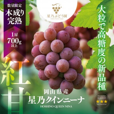 【三つ星】星乃クインニーナ 数量限定 1房(700g)