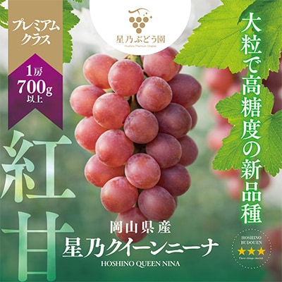 【先行受付】プレミアム星乃クイーンニーナ 数量限定 1房(700g)
