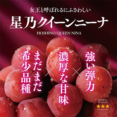 【先行受付】プレミアム星乃クイーンニーナ 数量限定 1房(700g)