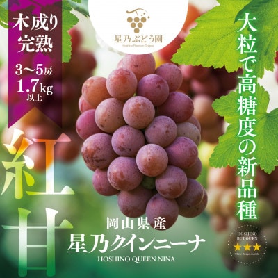 【三つ星ブランド】星乃クインニーナ 数量限定 3房～5房(1.7kg以上)