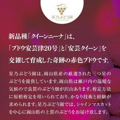 【三つ星ブランド】星乃クインニーナ 数量限定 3房～5房(1.7kg以上)