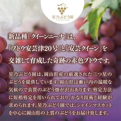 先行受付【三つ星ブランド】星乃クイーンニーナ 数量限定 3房～5房(1.7kg以上)