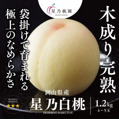 【星乃白桃】岡山県産 三つ星 セレクト白桃 1.2kg (4～5玉)