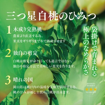 【星乃白桃】岡山県産 三つ星 セレクト白桃 1.2kg (4～5玉)