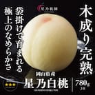 先行受付【星乃白桃】岡山県の桃園からお届けする三つ星の桃 780g (3玉)