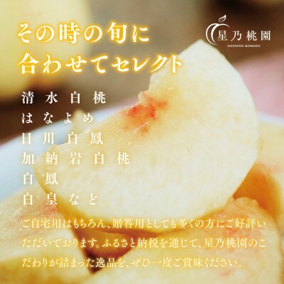 【星乃白桃】岡山県産 三つ星 セレクト白桃 780g (3玉)