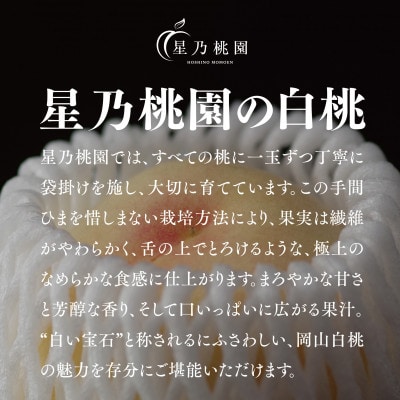 【星乃白桃】岡山県産 三つ星 セレクト白桃 780g (3玉)
