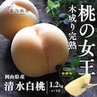 先行受付【清水白桃】岡山県産 三つ星 星乃桃園 1.2kg (4～5玉)