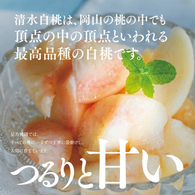 【清水白桃】岡山県産 三つ星 星乃桃園 780g (3玉)