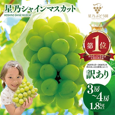【先行受付】訳あり星乃シャインマスカット(岡山県産) 3～4房(1.8kg以上)