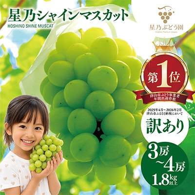 【先行受付】訳あり星乃シャインマスカット(岡山県産) 3～4房(1.8kg以上)