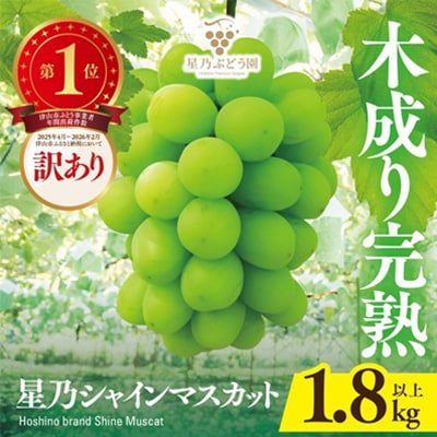 訳あり星乃シャインマスカット(岡山県産) 3～4房(1.8kg以上) | ふるさと納税のお礼品