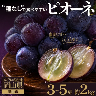 星乃ピオーネ 3房～5房(2kg以上) | 岡山県津山市 | ふるさと納税サイト