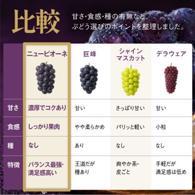 星乃ピオーネ 3房～5房(2kg以上)